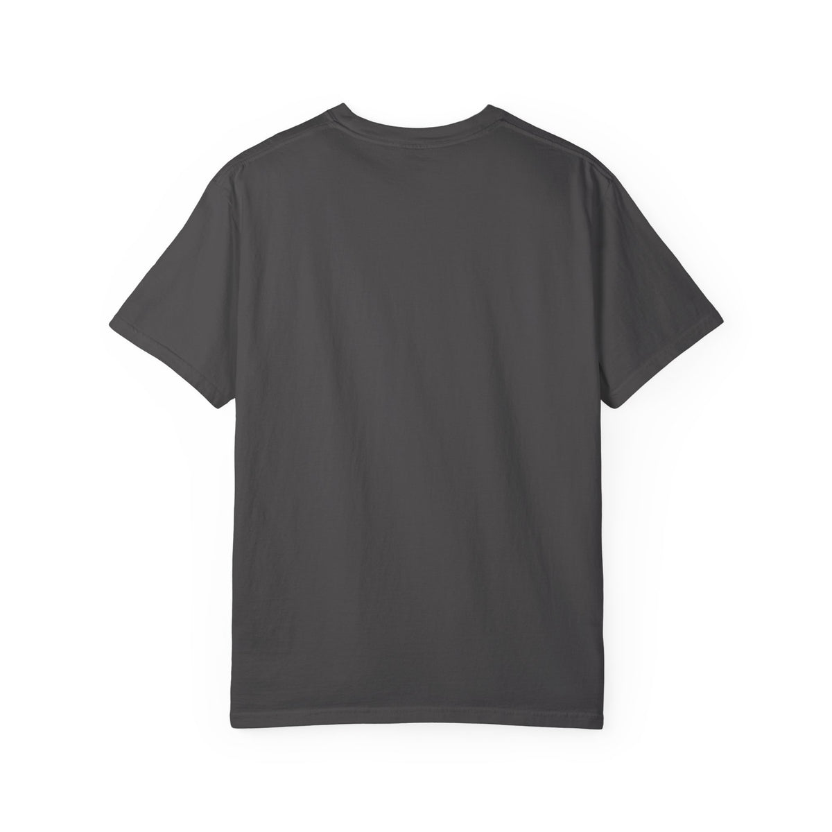 BOROBEYA Vision Portal — Garment-Dyed Graphic T-Shirt