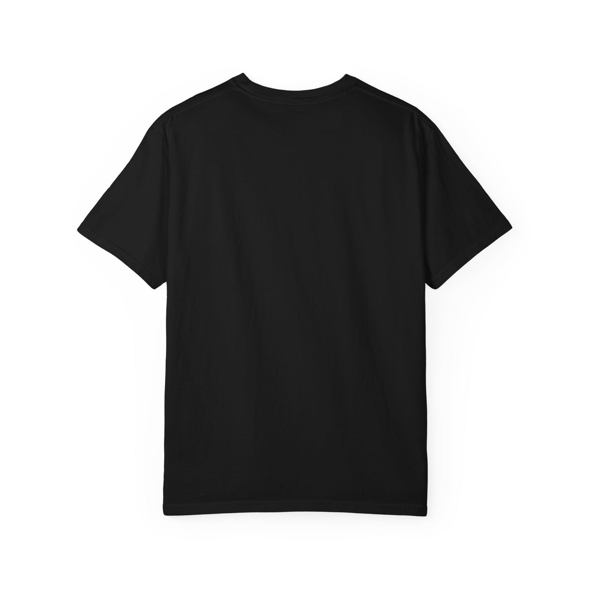 BOROBEYA Vision Portal — Garment-Dyed Graphic T-Shirt