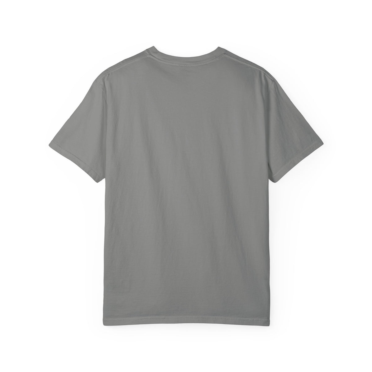 BOROBEYA Vision Portal — Garment-Dyed Graphic T-Shirt
